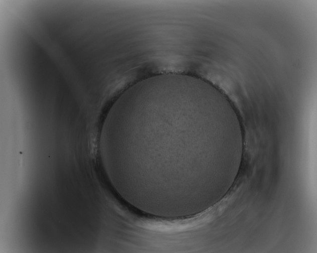 X0000094950017200712061300