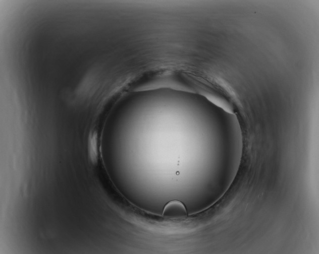 X0000094950020200712061300