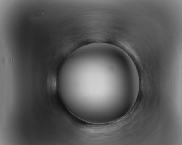 X0000094950021200712061300