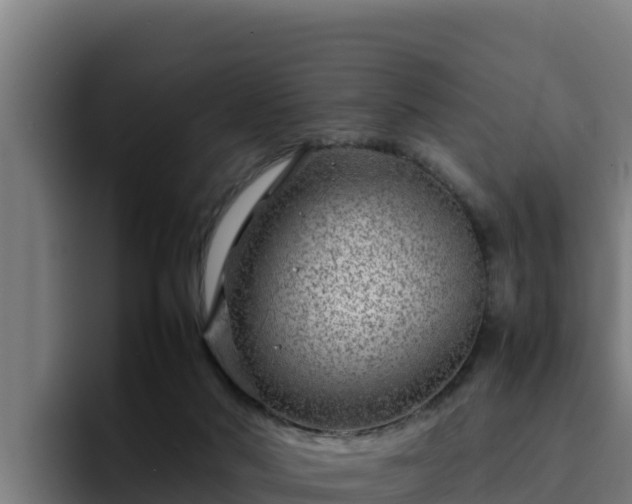 X0000094950022200712061300