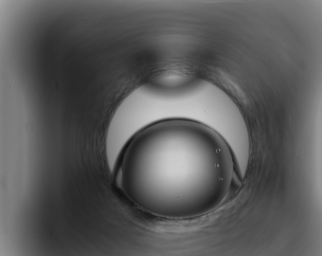 X0000094950025200712061300