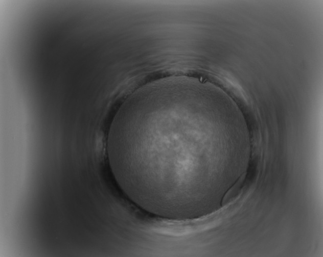 X0000094950029200712061300