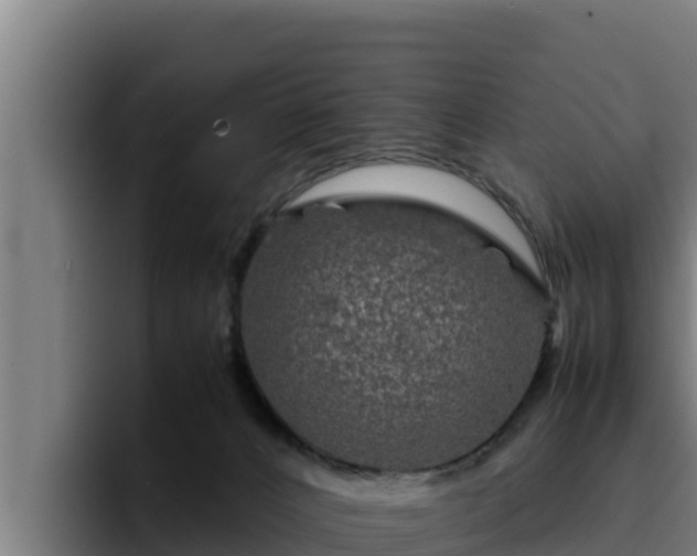 X0000094950032200712061300