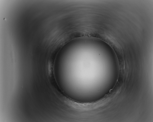 X0000094950038200712061300