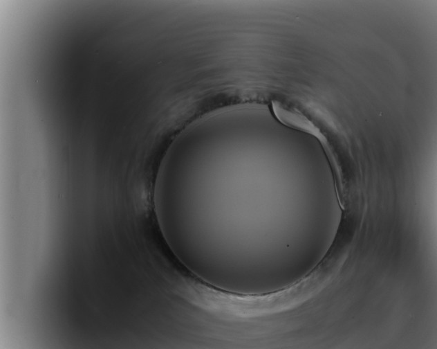 X0000094950039200712061300