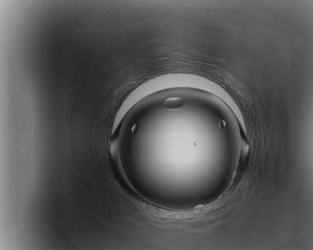 X0000094950043200712061300