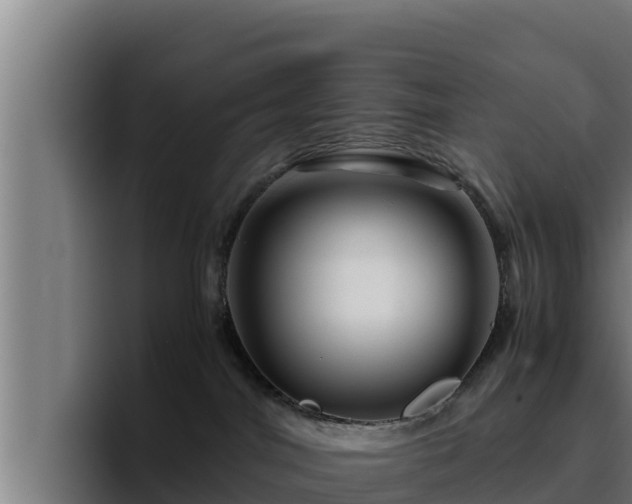 X0000094950044200712061300