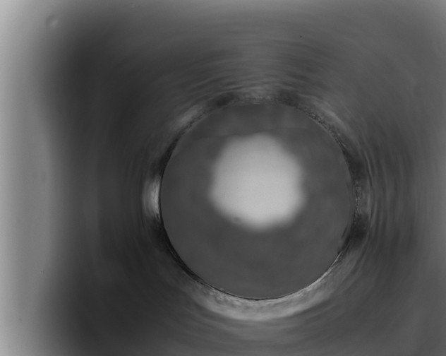 X0000094950047200712061300