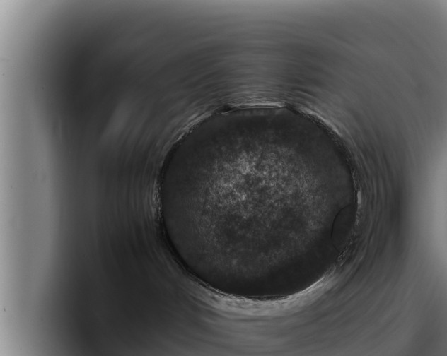 X0000094950048200712061300