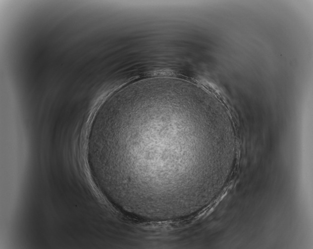 X0000094950049200712061259