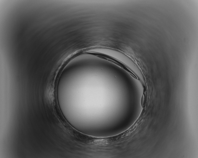 X0000094950050200712061259