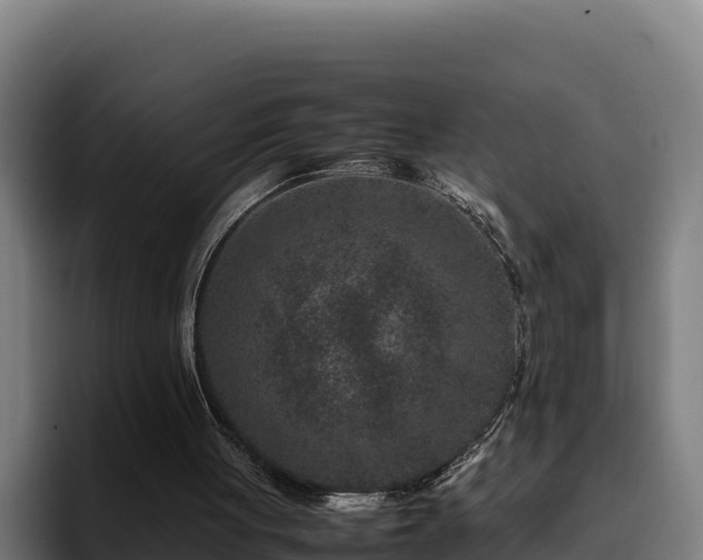 X0000094950051200712061259