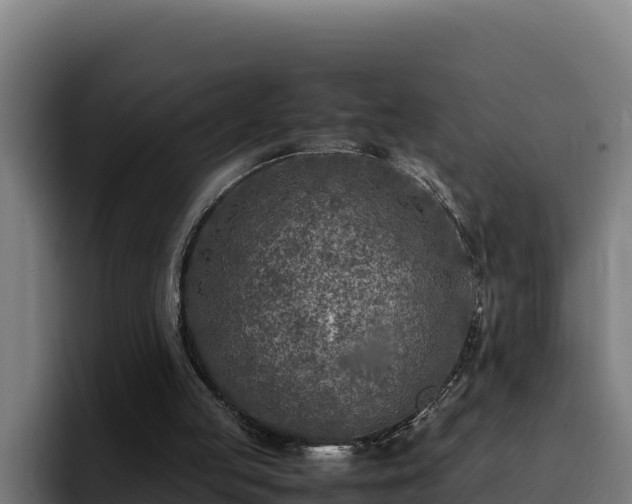 X0000094950053200712061259