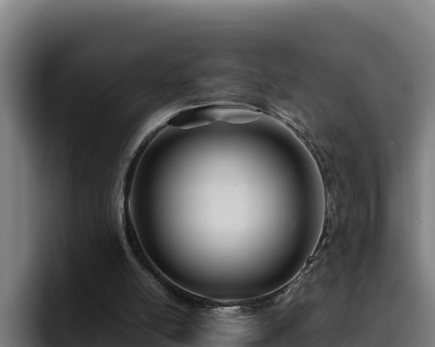 X0000094950054200712061259