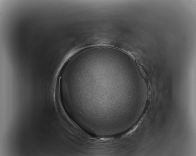 X0000094950056200712061259