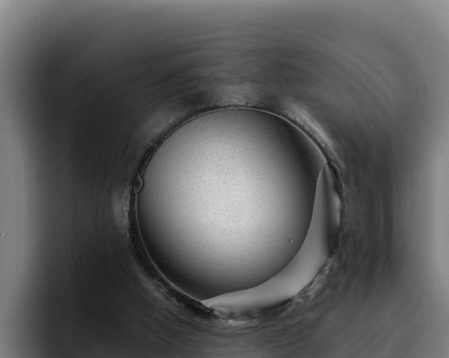 X0000094950058200712061300