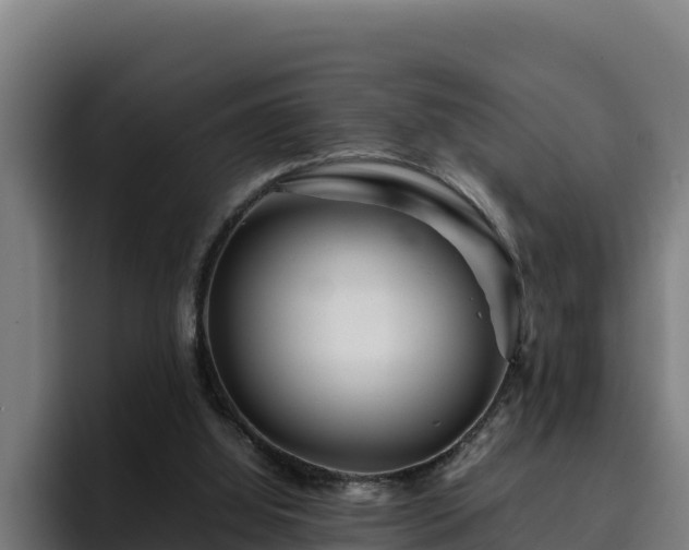 X0000094950060200712061300