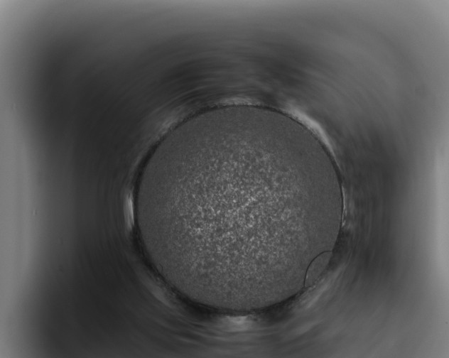 X0000094950061200712061300