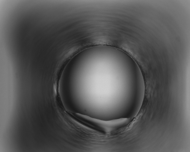 X0000094950062200712061300