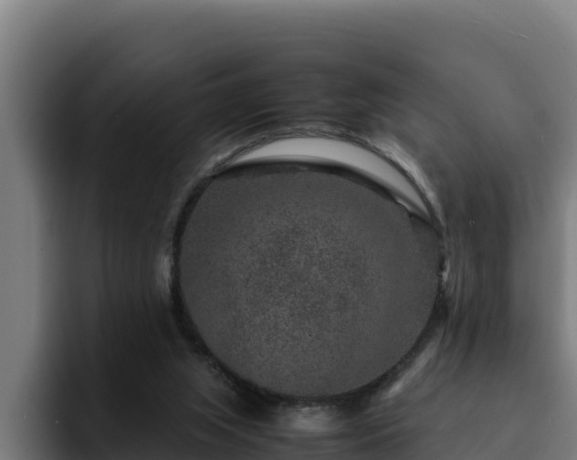 X0000094950063200712061300