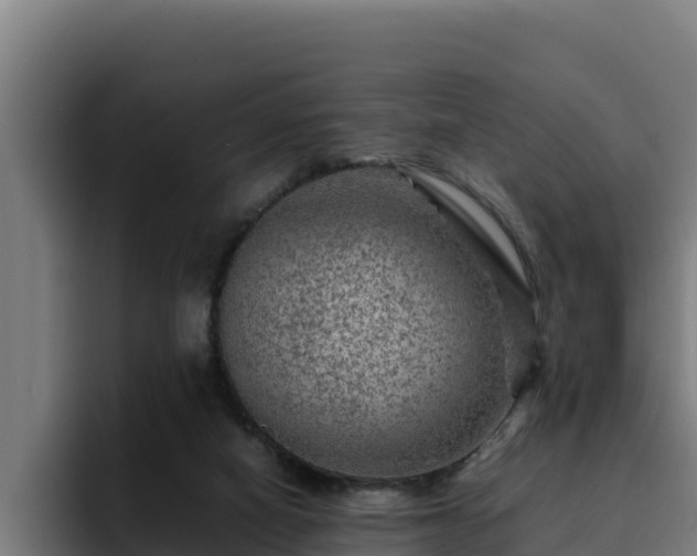 X0000094950066200712061300