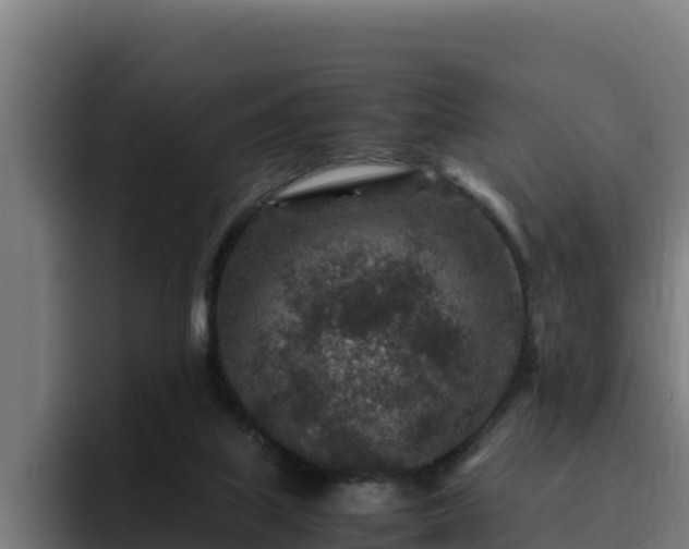 X0000094950067200712061300