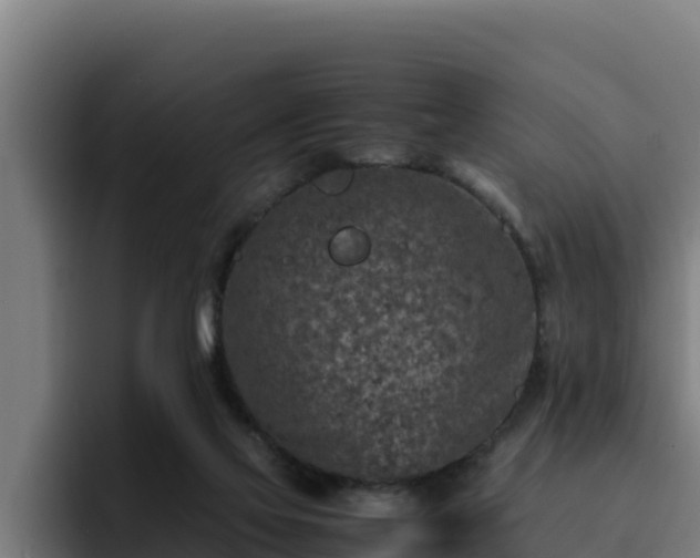 X0000094950069200712061300