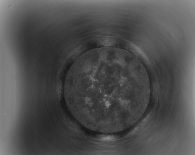 X0000094950073200712061300