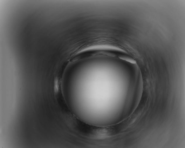 X0000094950075200712061300