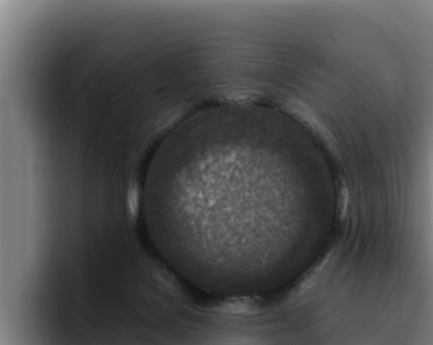 X0000094950076200712061300