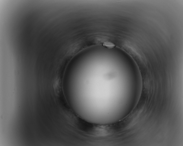 X0000094950079200712061300