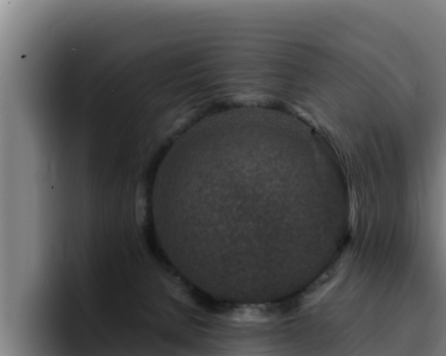 X0000094950080200712061300