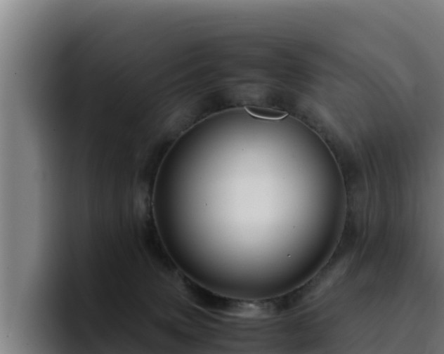 X0000094950083200712061300