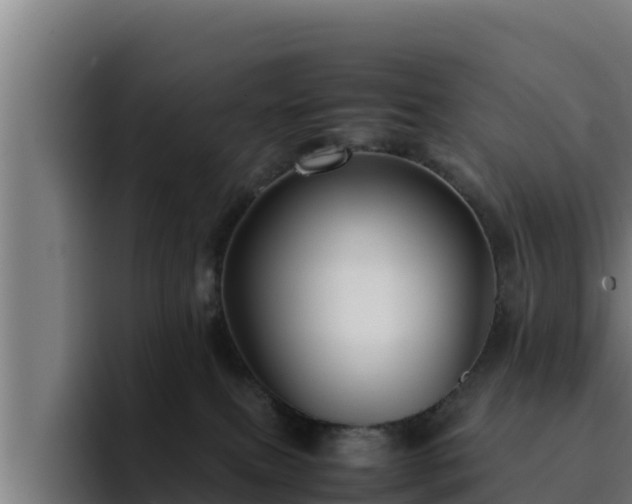 X0000094950087200712061300