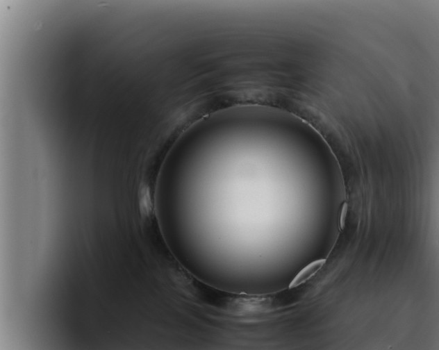 X0000094950089200712061300