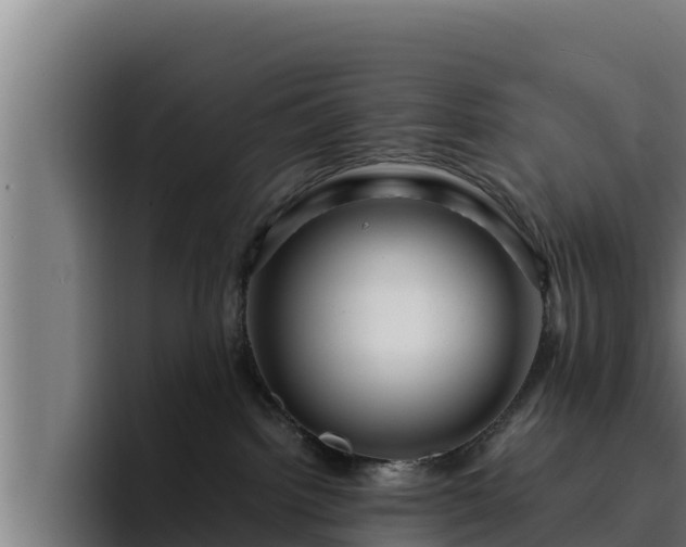 X0000094950092200712061300