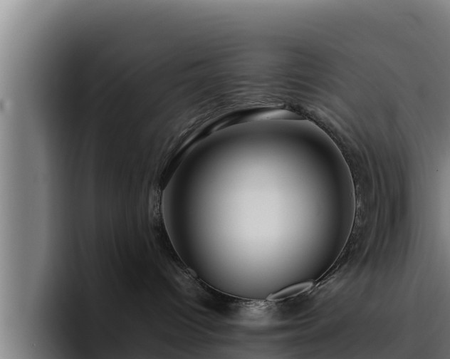 X0000094950096200712061300