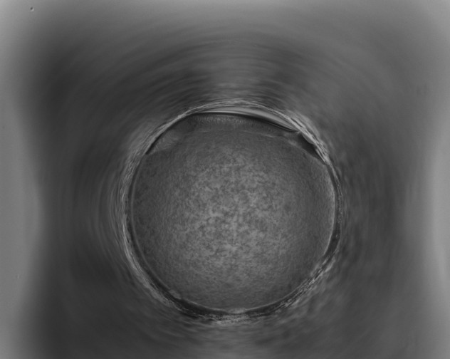 X0000094950097200712061259