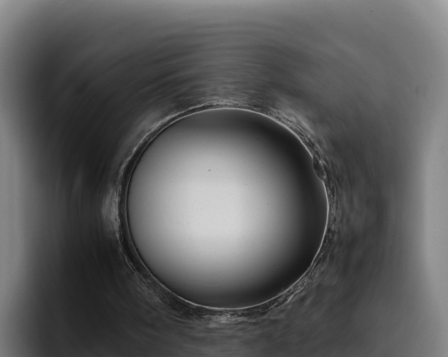 X0000094950098200712061259