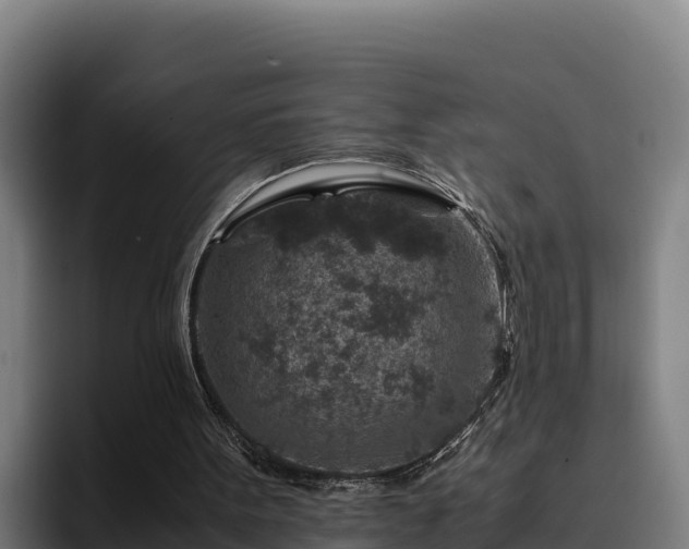 X0000094950099200712061259