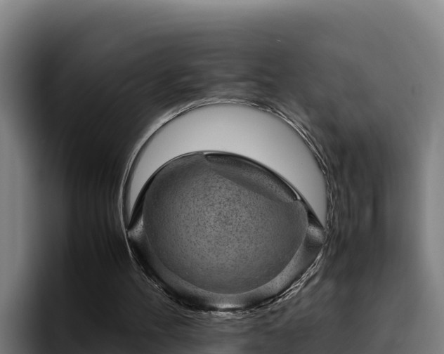 X0000094950100200712061259