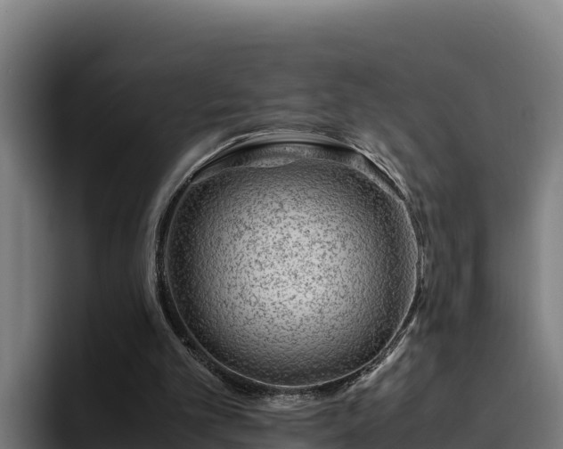 X0000094950101200712061259