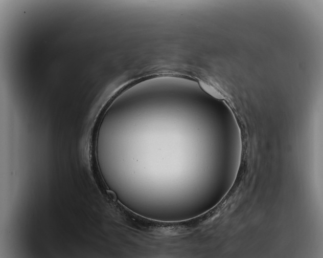 X0000094950103200712061259