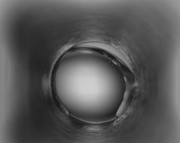 X0000094950104200712061259