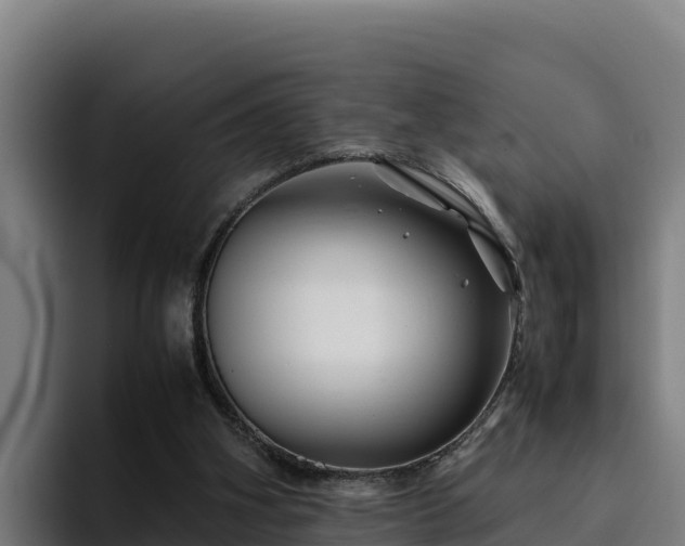 X0000094950106200712061259