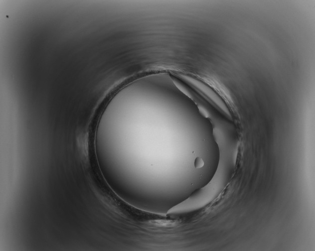 X0000094950108200712061259