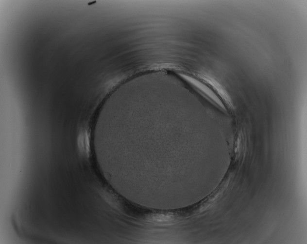 X0000094950110200712061259