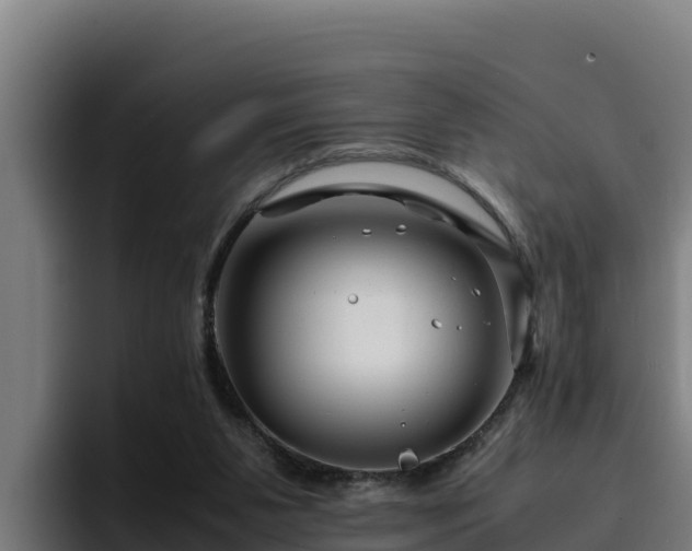 X0000094950111200712061259