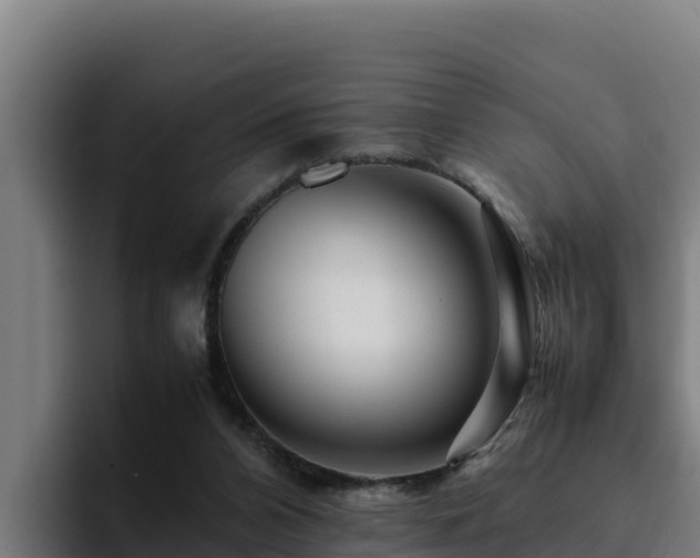 X0000094950112200712061259