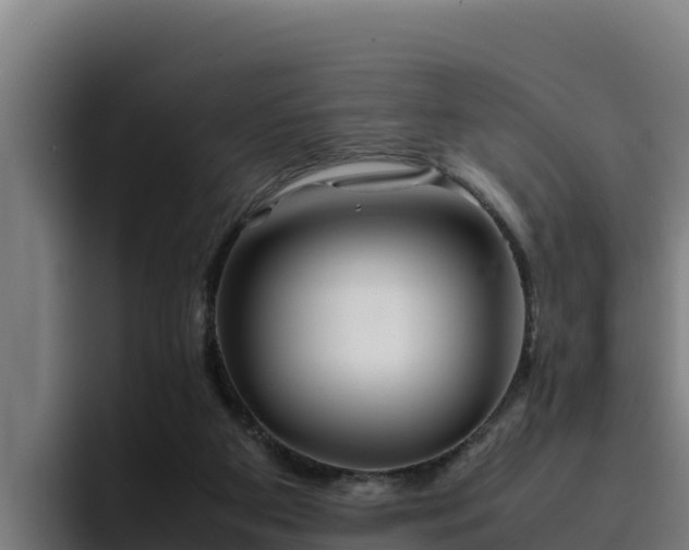 X0000094950113200712061259